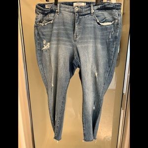 Torrid High Rise straight jeans size 20